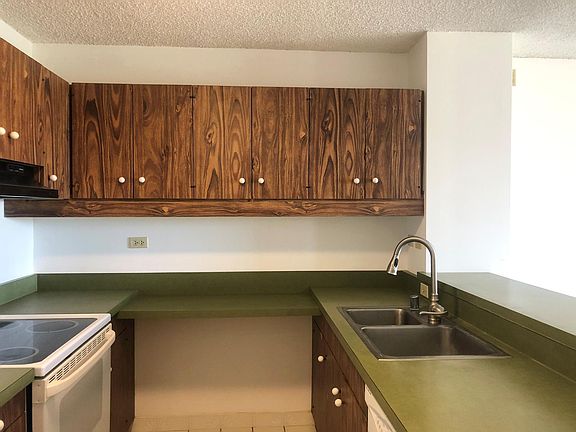 3rd image of 1717 Mott Smith Dr APT 3206