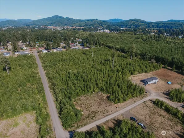 1150 King Johns Way, Forks, WA 98331