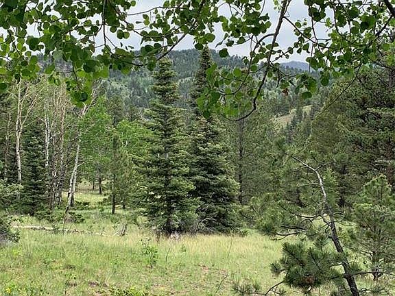 3rd image of Tbd Eagle Springs Ct