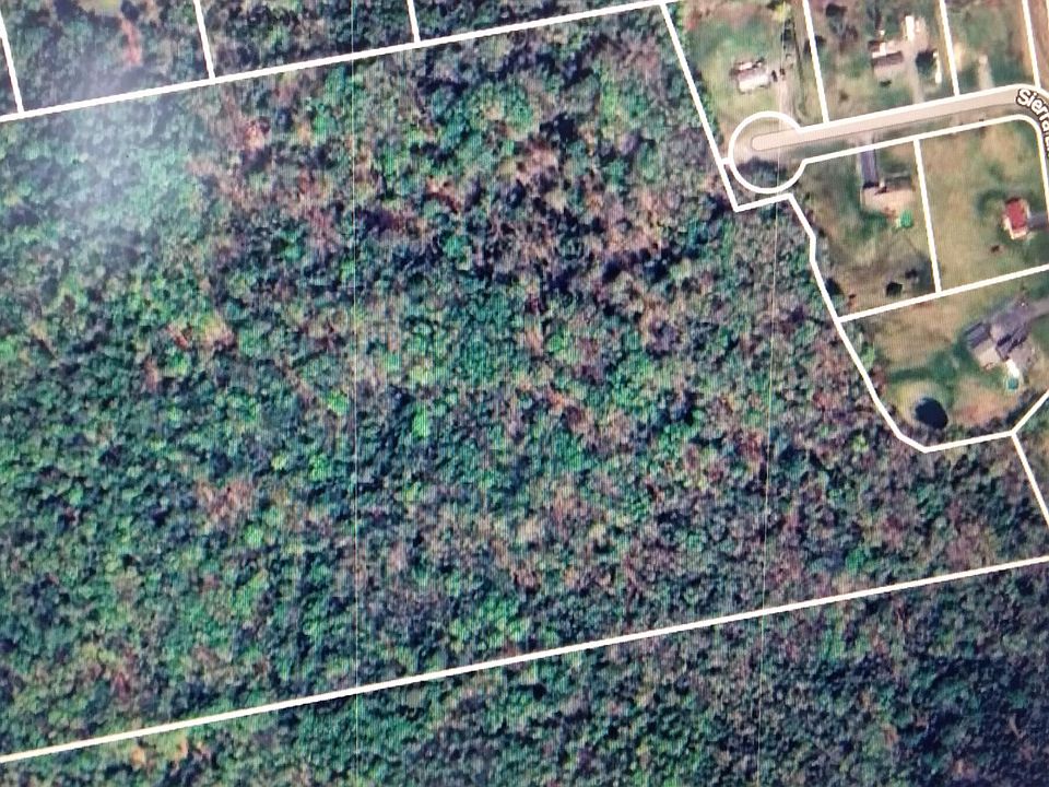2nd image of 28 Sierra Lane