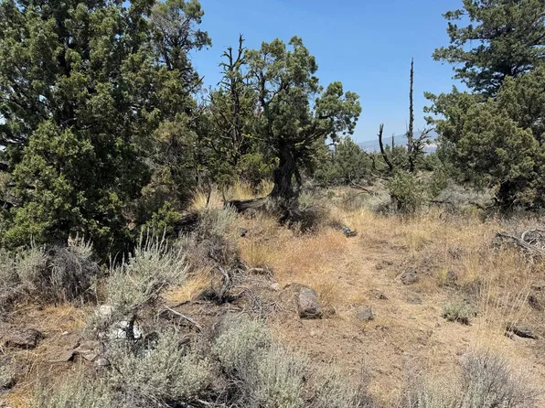 LOT 1 Feldman Rd, Montague, CA 96064