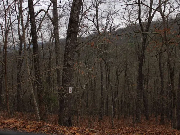 7 Thunder Rd, Hayesville, NC 28904