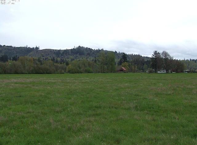 2nd image of Lewis River Rd