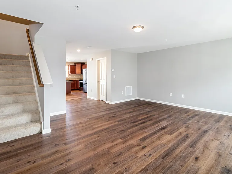Living room and kitchen