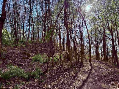 258 Bessie Ann Hill Rd, Farmington, WV, 26571