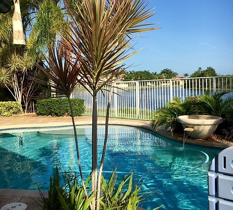 3rd image of 844 Tulip Cir