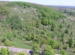 18.5 N Steuben Rd, Remsen, NY 13438