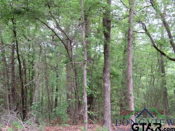 County Road 203 N, Henderson, TX 75652