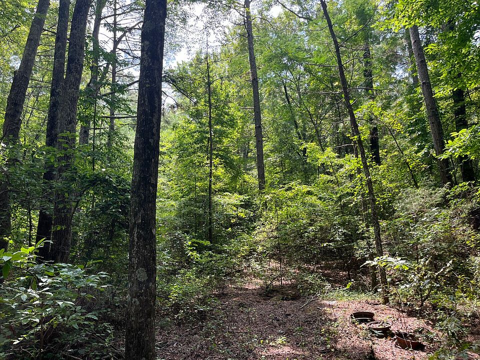 1st image of 1423 County Highway 25