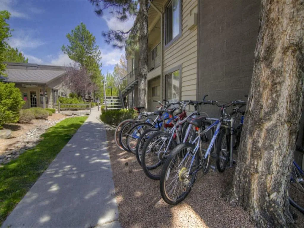 Pine View Village Apartments — Photo 3