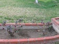 1st image of 18122 Theodora Dr