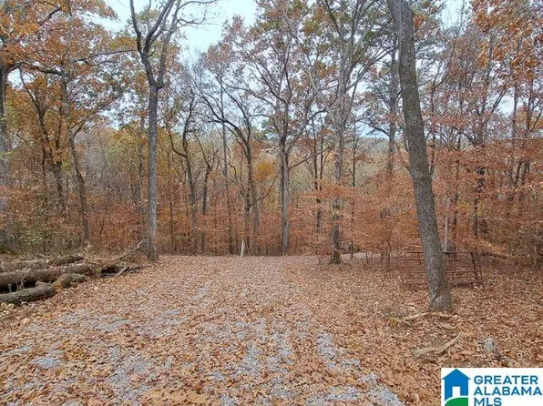 6246 Red Hollow Rd #0, Pinson, AL 35126