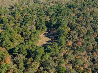 12806 Wood Rd, Diana, TX 75640