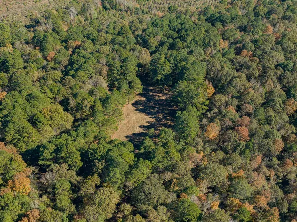 12806 Wood Rd, Diana, TX 75640