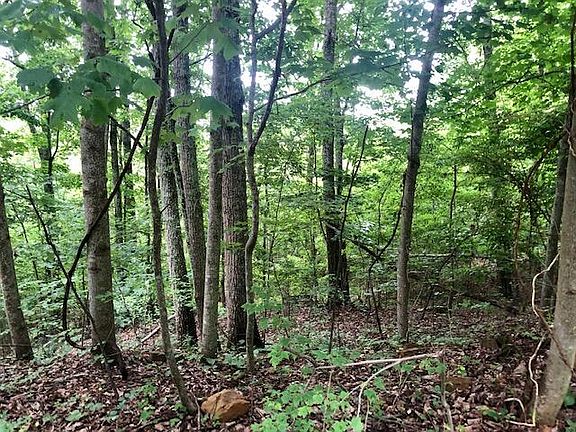 4th image of 0 Bent Tree Dr #10