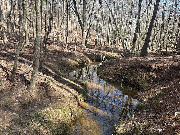 2nd image of 555 Larmon Forks Rd #5B