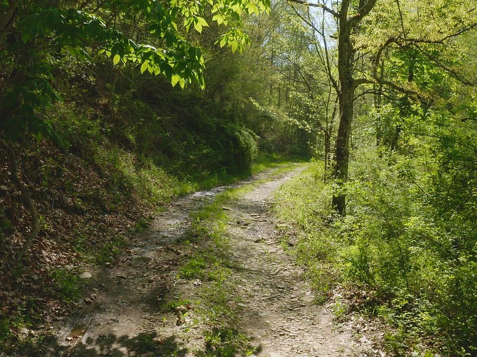 Ben Hill Rd, Rogersville, TN 37857 MLS 9937169 Zillow