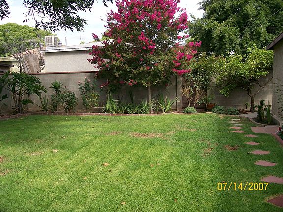 Backyard before
