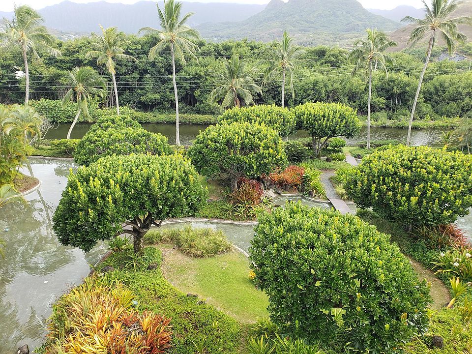 View standing at living room window.
