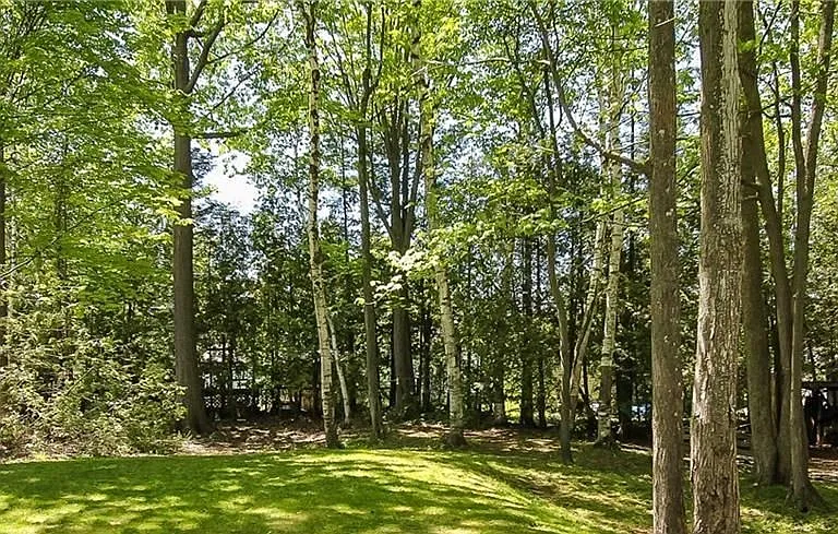 236 Zoo Park Rd — Photo 21