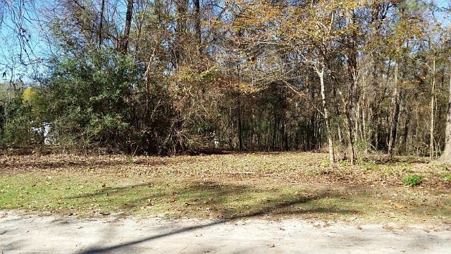 2nd image of Tbd Neal Loop