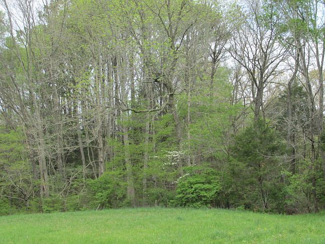 1st image of 534 Windrowe Dr
