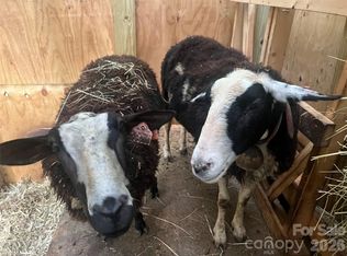 2778 Mule Stomp Rd, Clyde, NC 28721