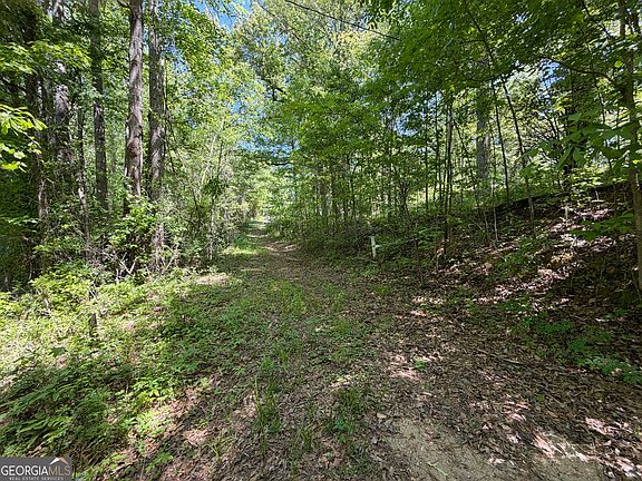 3rd image of Wallace Gray Rd