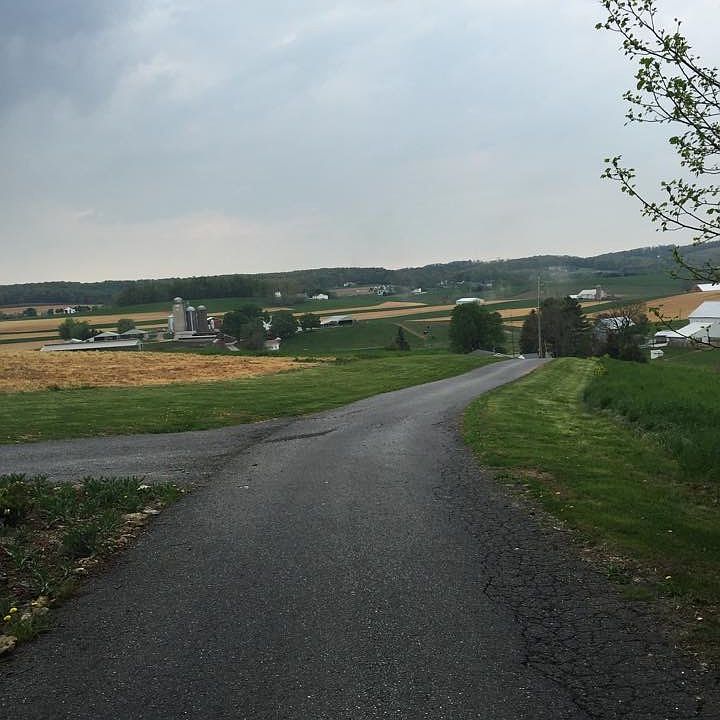 2nd image of 2991 Traceys Mill Rd