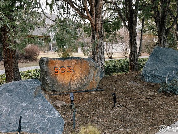 5th image of 503 Kalmia Ave