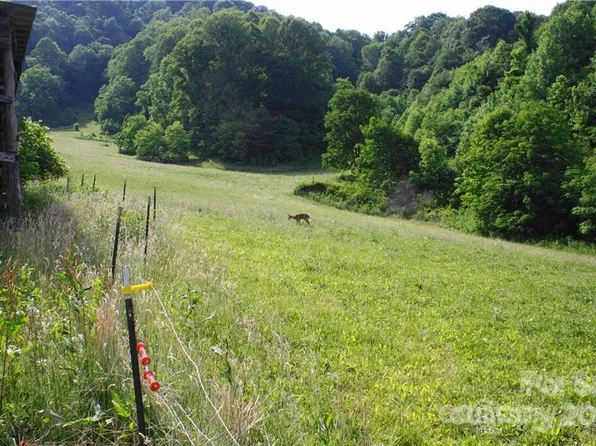 1842 S Fork Rd, Marshall, NC 28753