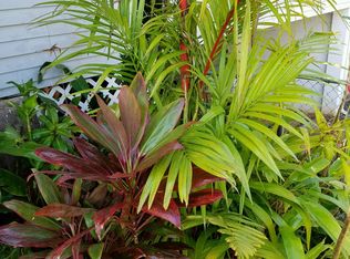 2038 Puna St, Honolulu, HI 96817