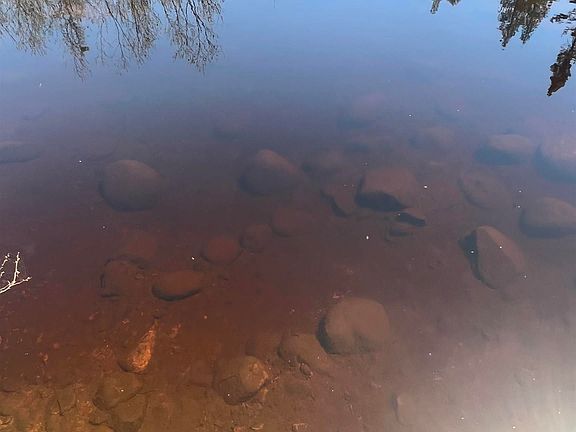 5th image of Xxx Moose Ridge Rd