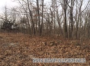 2nd image of Chesterfield Woods