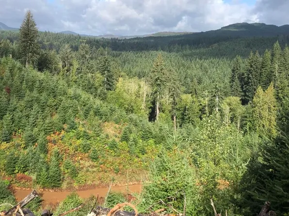 80788 Hamlet Rd, Seaside, OR 97138