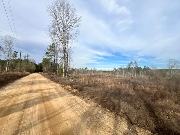 Strickland Rd, Waynesboro, MS 39367