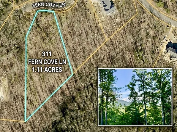 311 Fern Cove Ln, Gerton, NC 28735