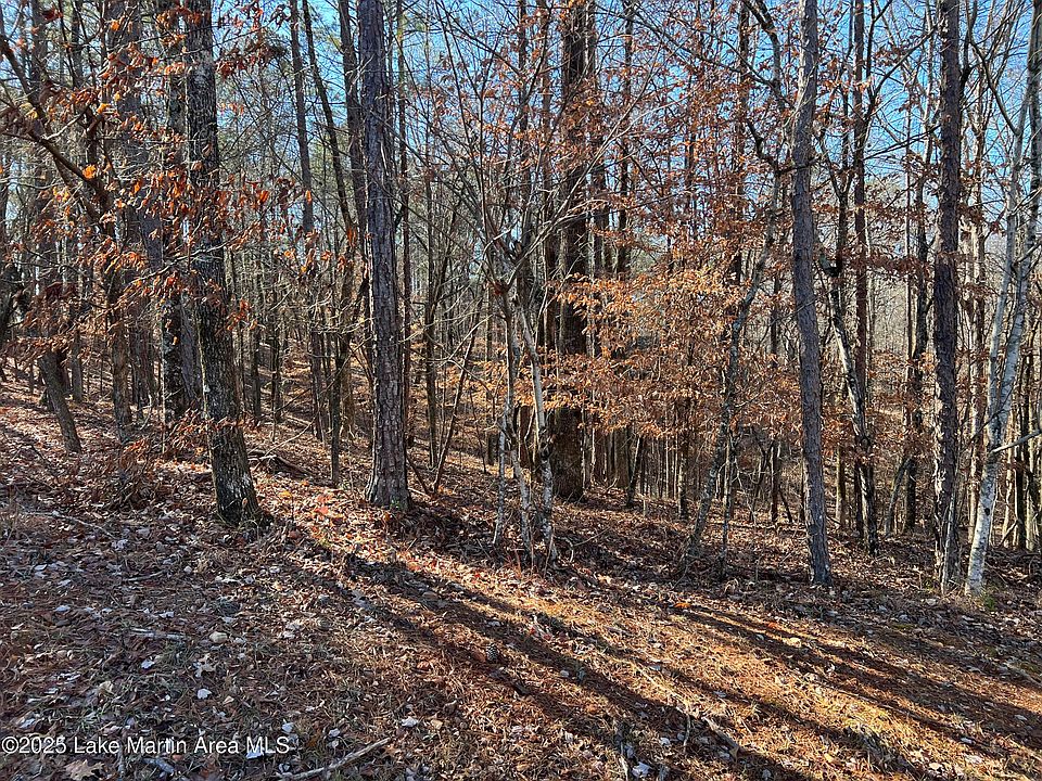 1st image of 53 Doe Ln