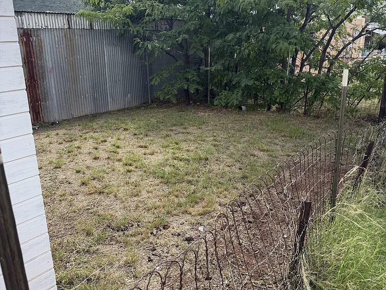 back yard