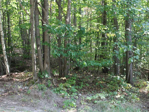 Sunburry Rd, Kalkaska, MI 49646