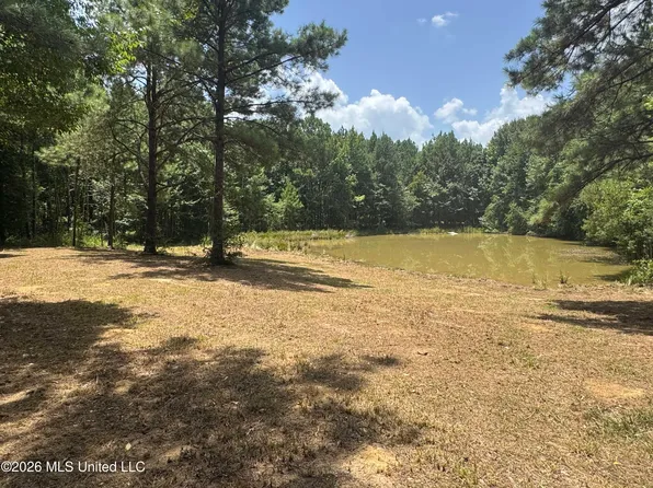 0 Maude Ln SW, Bogue Chitto, MS 39629