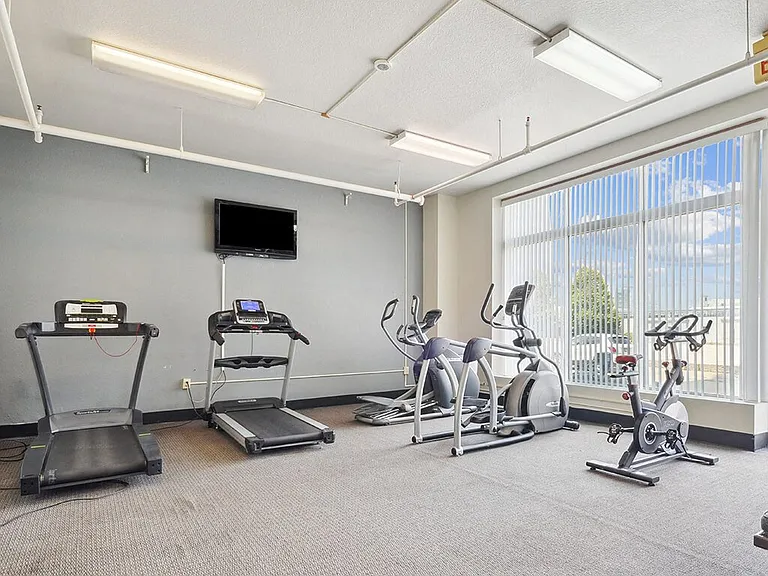 Cardio Equipment