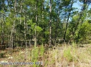 19 Gerbera Ct, Homosassa, FL 34446