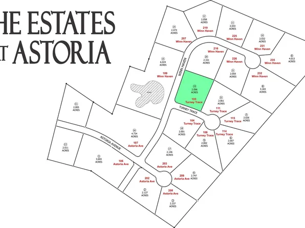 103 Turney Trce Lot 19, Round Top, TX 78954