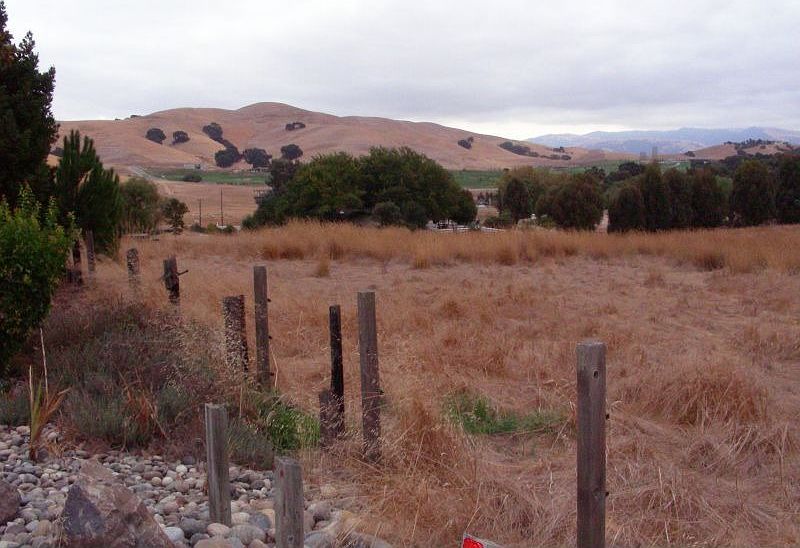 10 acres looking east