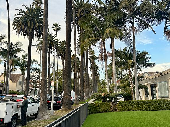 4th image of 268 S Palm Dr