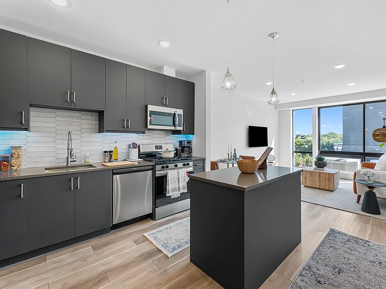 One Bedroom Apartment- Kitchen