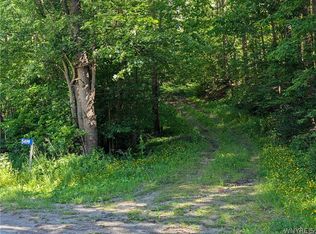 5499 Bryant Hill Rd Lot 40, Ellicottville, NY 14731
