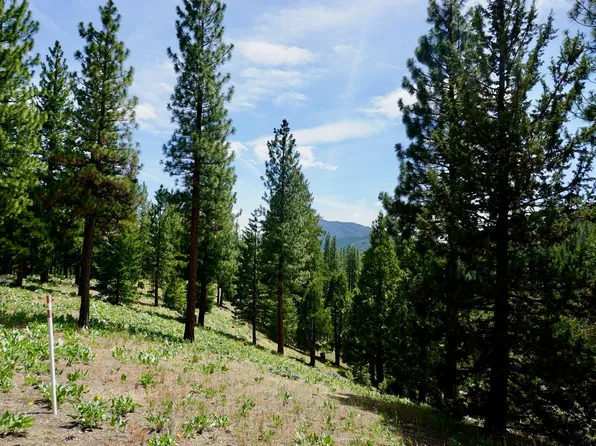 411 Big Grizzly #4, Portola, CA 96122