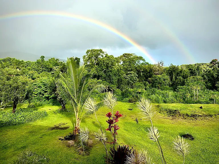 Alalele Pl — Photo 8
